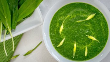 Polévka z česneku medvědího